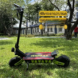 Scooter Eléctrico Todoterreno de Doble Motor con 2400W de Potencia Total, Velocidad Máxima de 60km/h, Alcance de 180KM para Adultos, Ideal para Paseos Extremos por Senderos - Product Image 2