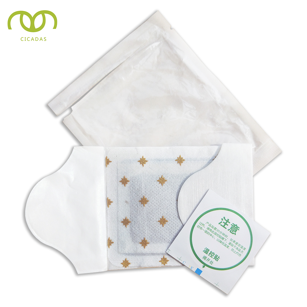 Traditional Chinese Medicine Moxibustion Patch for Natural Pain Relief