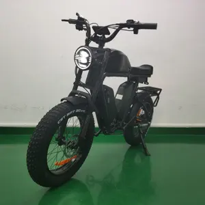 20 Inch 48v 22ah+22ah+26ah Batteries 48v1000w Motor Long Range Electric Bik Ebike Electric Fat Bike For Adult