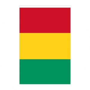 Banderines de Guinea de 5.5x8 Pulgadas al por Mayor, Impresión Digital, Material de Poliéster para Decoración Interior y Exterior (20 Piezas/Juego) - Product Image 2