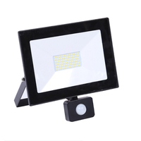 Projecteur LED étanche IP66 AC 220V 10W 20W 30W 50W 100W pour extérieur, jardin, éclairage mural, projecteurs