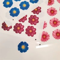 Offre Spéciale : Décoration Comestible A4 pour Gâteaux et Boissons en Papier Sucre, Film Alimentaire Imprimable pour Photos, Décoration de Gâteaux et Biscuits