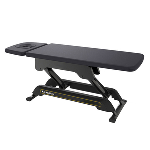 KSMED Multi-function Examination <b>Bed</b> KSM-EXB Medical Adjustable <b>Backrest</b> Examination <b>Bed</b> - Product Image 2