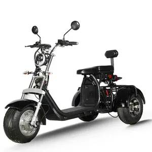 EU 재고 고품질 장거리 저렴한 전기 스쿠터 도시 코코 2000W 오토바이 3 휠 전기 스쿠터 성인