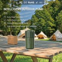 Pompe à air haute pression en gros avec arrêt automatique, gonflage et dégonflage, pompe à air électrique rechargeable pour matelas pneumatique