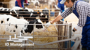 KKM T1 Bluetooth Ear Tag Beacon Ble5.0 Ovejas Seguimiento Beacons Tag Acelerómetro Animal Tag - Product Image 6