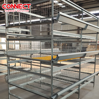 Cage à poulettes de type H galvanisée automatique à grande échelle pour l'élevage moderne en poulailler, système d'élevage de poussins pour ferme avicole