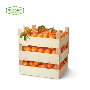 Nouvel arrivage orange frais, vente en gros, fruits frais, orange chinoise de haute qualité, au meilleur prix