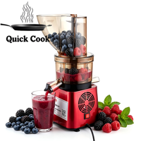 300W/750W/1200W/1500W/2000 Met Professionele Non-Stop 12/24 Werktijden Anti-Verstopping Commerciële Koude Pers Sapcentrifuge Machine