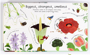 Bìa Cứng Đầy Màu Sắc Fancy Tùy Chỉnh In Ấn A4 Bìa Cứng Trẻ Em Câu Chuyện Hoạt Động Cuốn Sách Cho Trẻ Em - Product Image 4