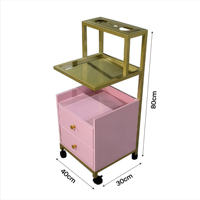 Chariot de Salon de Beauté de Luxe en Acier Inoxydable Plaqué Or, Chariot de Spa Durable avec Roues