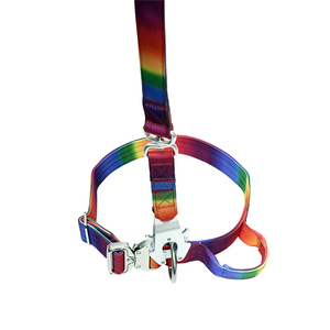 Colorful Ombre Dog <b>Collar</b> Deluxe Premium <b>Metal</b> Accessories With Grips Pet Dog <b>Collar</b> Set Pet Supplies - Product Image 6