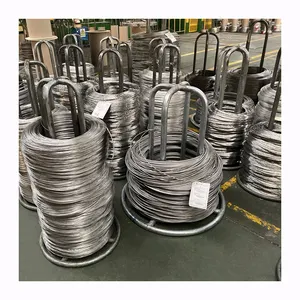 Stainless Steel Flat Wire Spring - China Custom Steel Wire Cable Steel Wire  and Galvanized Steel Wire Price