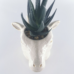Pot en <span class=keywords><strong>céramique</strong></span> émaillée verte jardinière ornements d'<span class=keywords><strong>animaux</strong></span> décor à la maison <span class=keywords><strong>jardin</strong></span> plante succulente Pot Kit de conception <span class=keywords><strong>pour</strong></span> Pots de fleurs jardinières - Product Image 2