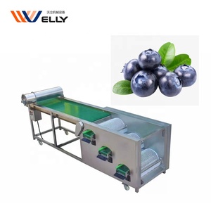 Profesional diseñado de arándanos de clasificación de la máquina/de arándanos frescos máquina de clasificación/arándano máquina de clasificador de - Product Image 3