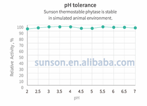 Thức ăn <span class=keywords><strong>Enzyme</strong></span> <span class=keywords><strong>phytase</strong></span> chịu nhiệt để tiêu hóa thức ăn tốt hơn và hấp thụ phốt pho trong thức ăn - Product Image 3