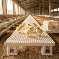 Nouveau plancher à lattes en PP robuste pour poulets, pieds surélevés, sans joint, monobloc, blanc, pour poules pondeuses/à viande, 100x50x19.5cm