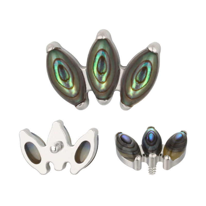 TB-1236  Abalone Shell