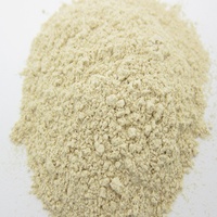 Ail déshydraté oignon poudre séché importateur indien Dubaï en vrac 5kg 10kg 15kg sacs AD séchage légumes
