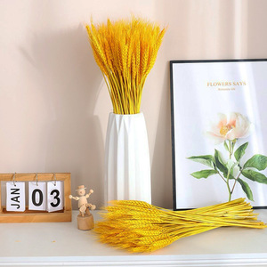Bouquet de 100 tiges de blé séché Gardenia, dorées, 45-50 cm, accessoire décoratif pour la maison - Product Image 2