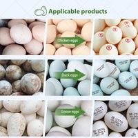 Laveuse de coquilles d'œufs de poulet, nouvelle machine commerciale de nettoyage, de lavage et de calibrage pour la vente