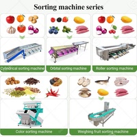 Automatische sorteermachine voor fruit en groenten: pruimen, tomaten, bladeren, avocado's, schone sorteerappels, mango's, kersen, automatische tabelsortering op maat.