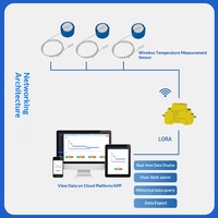 Sensor Suhu PT100 Tipe Patch Nirkabel dengan Dudukan Magnetik dan Teknologi Segel Ganda untuk Pemantauan Jarak Jauh Pemanas Akuarium dan Udara