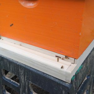 10 khung langstroth tổ ong sàng lọc dưới Hội Đồng Quản trị 304 thép không gỉ Net + Khay PVC công cụ nuôi ong Hive công cụ màn hình - Product Image 4