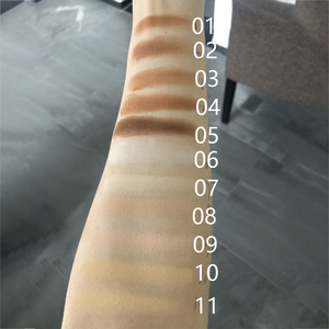 Polvo Compacto de Alta Definición para Control de Grasa, 11 Colores, Absorbente de Grasa, Disimula Poros, Polvo Fijador, Marca Privada Personalizada - Product Image 5