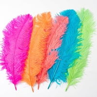 Décoration de mariage Yolan Home avec plumes d'autruche teintées 14-22 pouces, couleurs naturelles, design personnalisé pour une utilisation en festival