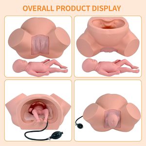 Simulador de Parto a Tamaño Real para Entrenamiento de Partería, Demostración de Parto, <span class=keywords><strong>Obstetricia</strong></span> <span class=keywords><strong>y</strong></span> <span class=keywords><strong>Ginecología</strong></span>, Fetal Normal <span class=keywords><strong>y</strong></span> Anormal - Product Image 6