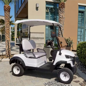 Voiturette de golf électrique tout-terrain 2 places personnalisée de haute qualité, nouveau design élégant, directement de l'usine au meilleur prix - Product Image 1