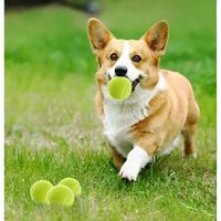 Lot de balles de tennis personnalisées avec logo imprimé pour chiens, jouet interactif pour animaux de compagnie de 2,5 pouces pour l'entraînement à la plage et la pratique du lancer