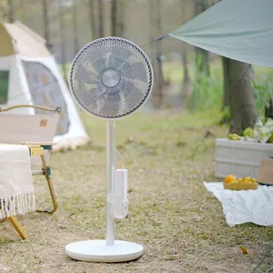 Ventilador de pedestal elétrico branco para acampamento, ventilador 3D personalizado para uso ao ar livre, ventilador de chão com 6 velocidades, ventiladores de suporte DC
