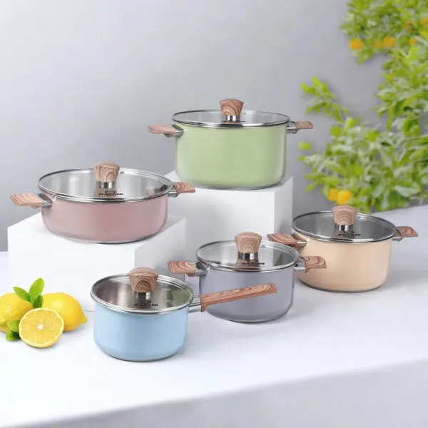 Purecook ODM Customization Certification Non-Toxic European Kitchen Colorful Paint 304 Stainless Steel Cookware Cooking Pot Set