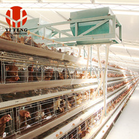 Cage à poulets RTL pour l'élevage de poules pondeuses, alimentation et abreuvement haute performance, structure robuste, adaptée aux fermes du Moyen-Orient