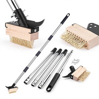 Brosse à désherbeur télescopique en acier inoxydable pour le nettoyage des interstices de jardin, grattoir à mousse pour pavés et joints de patio