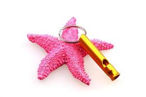 Silbato de Emergencia para Supervivencia con Llavero - Silbato de Aluminio Fuerte para Campismo y Senderismo al Aire Libre, Equipo de Seguridad - Product Image 4