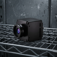 Module de caméra thermique industrielle pour la mesure de température, 256x192, infrarouge non refroidi, CMOS, vision nocturne, caméra réseau