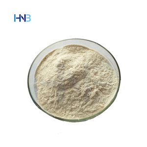 Lactobacillus Plantarum H6 Inactivado de Grado Alimenticio, Suministro de Fábrica HNB, Lactobacillus Plantarum Postbiótico No Viable - Product Image 4