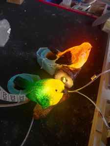 Lámpara LED con Motivo de Pájaro Individual para Iluminación Exterior Navideña, IP65, Decoración de Parques, Jardines, Festivales, Patios, Paisajes y Espacios para Eventos - Product Image 1