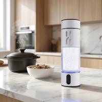 Bouteille d'eau portable et générateur d'eau riche en hydrogène alimenté par batterie USB pour café froid, usage domestique, voiture, camping-car, extérieur, écologique