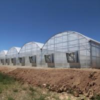Invernadero Agrícola Comercial Grande de Múltiples Tramos, Cubierta de Lámina de Policarbonato Cuadrada, Estructura de Acero, Sistema Hidropónico