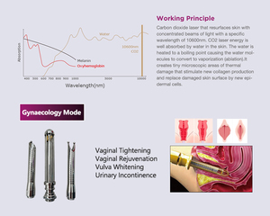 Láser fraccional Co2 Corea Co2 con pieza de mano de rejuvenecimiento vaginal Máquina de belleza láser fraccional - Product Image 6