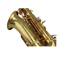 Eastern Music Pro Use Gold Lacquer Alto Saxophone Mark VI Style with Contoured PC Flight case