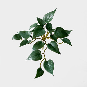 Mini <span class=keywords><strong>Hojas</strong></span> Artificiales de Silicona Suave al Tacto, Tipo Suculentas, Pennywort, Anturio, 10-30 cm, para Decoración del Hogar, Adorno de Escritorio - Product Image 5