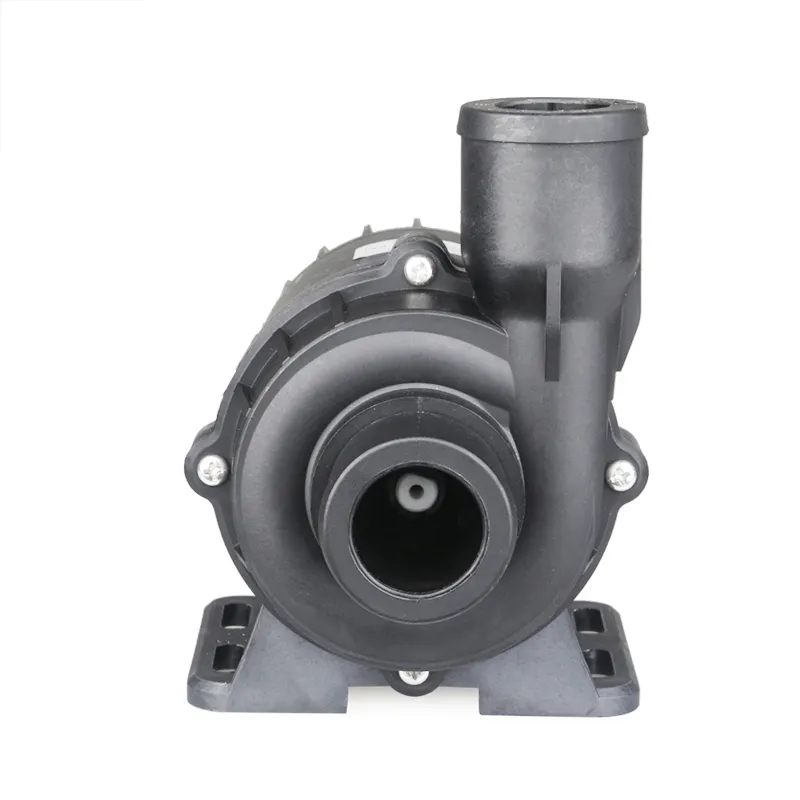 ZKSJ Schwimmbad und SPA Pump DC80D-24100A-1