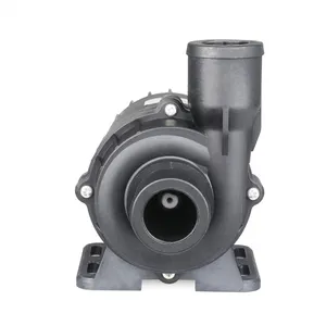 ZKSJ Swimming Pool And SPA Pump DC80D-24100A-1