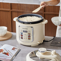 Cuisinière à pression électrique multifonctionnelle de 5 L avec 2 pots, capable de faire des soupes et de cuire du riz, écran couleur numérique, cuiseur à riz
