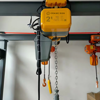 Mini palan à chaîne 1t-5t, simple/double vitesse, télécommande sans fil, palan électrique, construction métallique